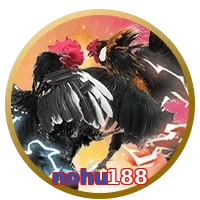 nohu188